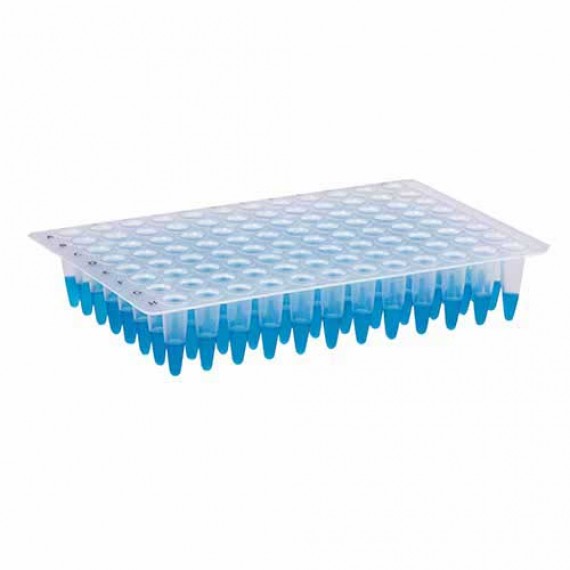 MICROPLACA PARA PCR  - 96 POÇOS - 25 unidades